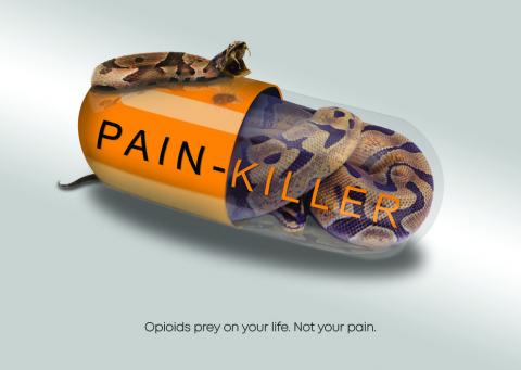 A pain-killer pill with a snake inside of it with the caption "Opioids prey on your life. Not your pain.".