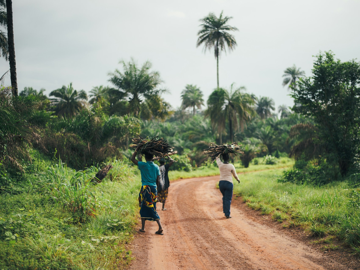 People walking on dirt road in tropical country