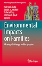 Book cover for Environmental Impacts on Families: Change, Challenge, and Adaptation.