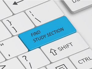 Find Study Section