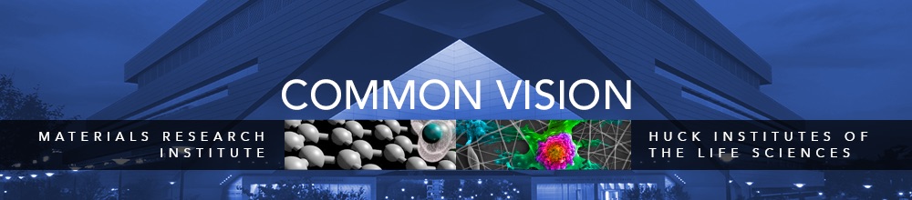 Common Vision Initiative