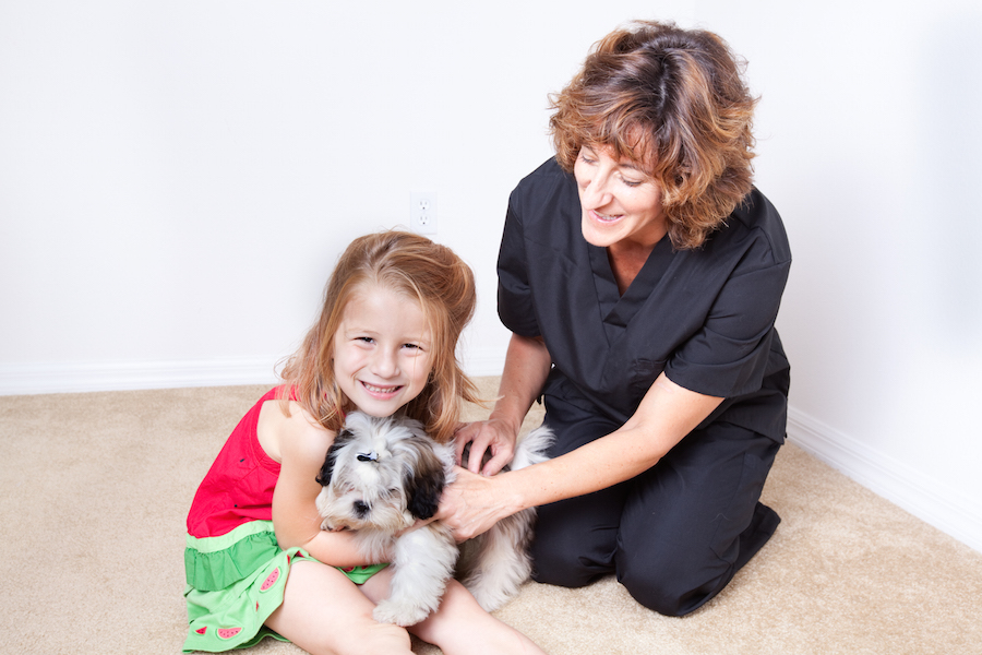 Small child with dog and therapist