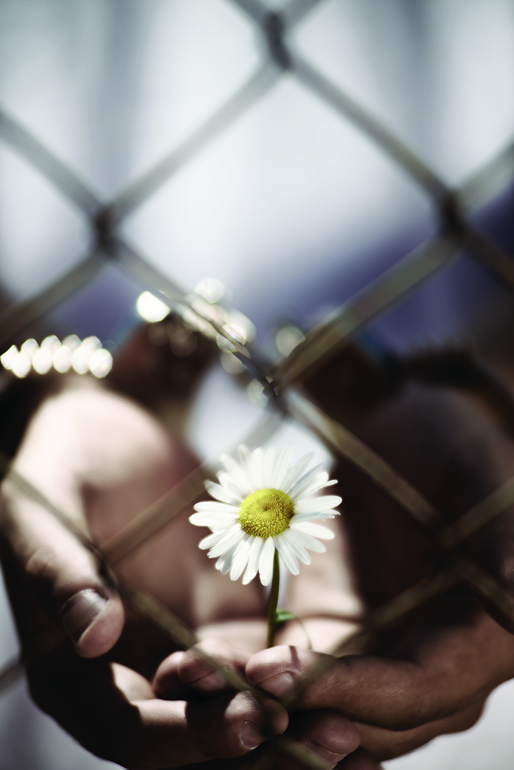 Hands holding flower by fence