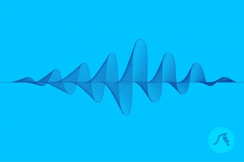 A graphical representation of sleep waves.