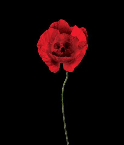 A red poppy flower with a faint skull superimposed over the center of the flower.