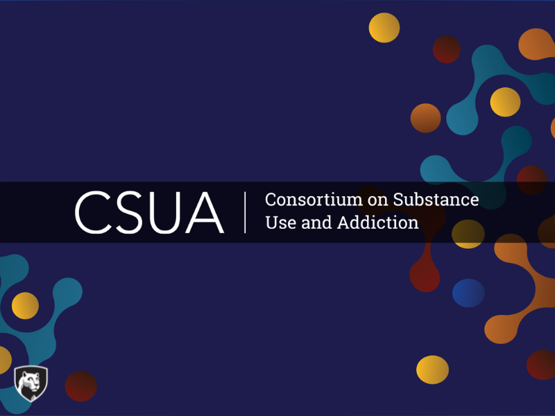 CSUA header image