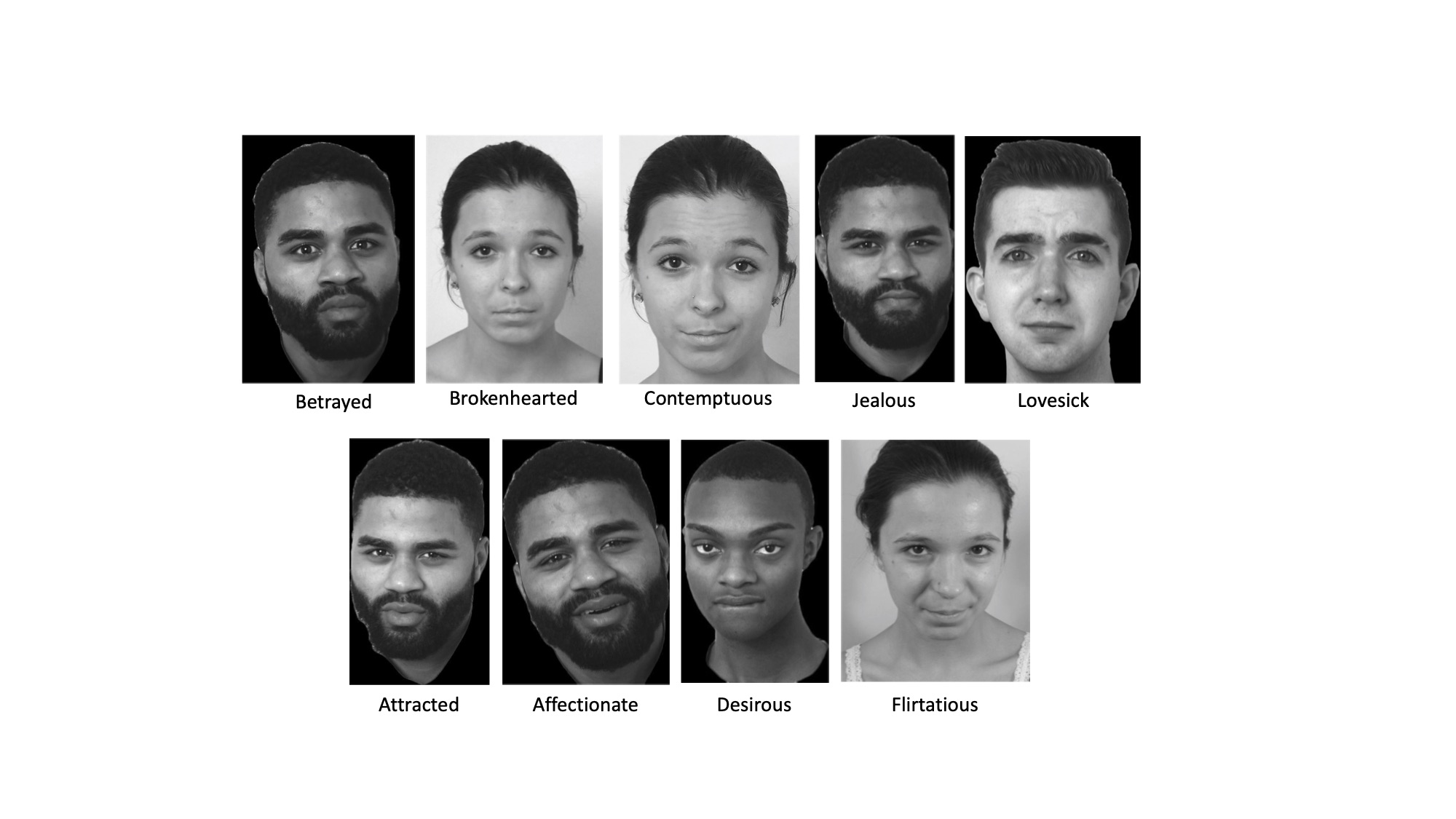 The 480 images in the Complex Emotion Expression Database were posed by eight black and white, formally trained, young adult actors.