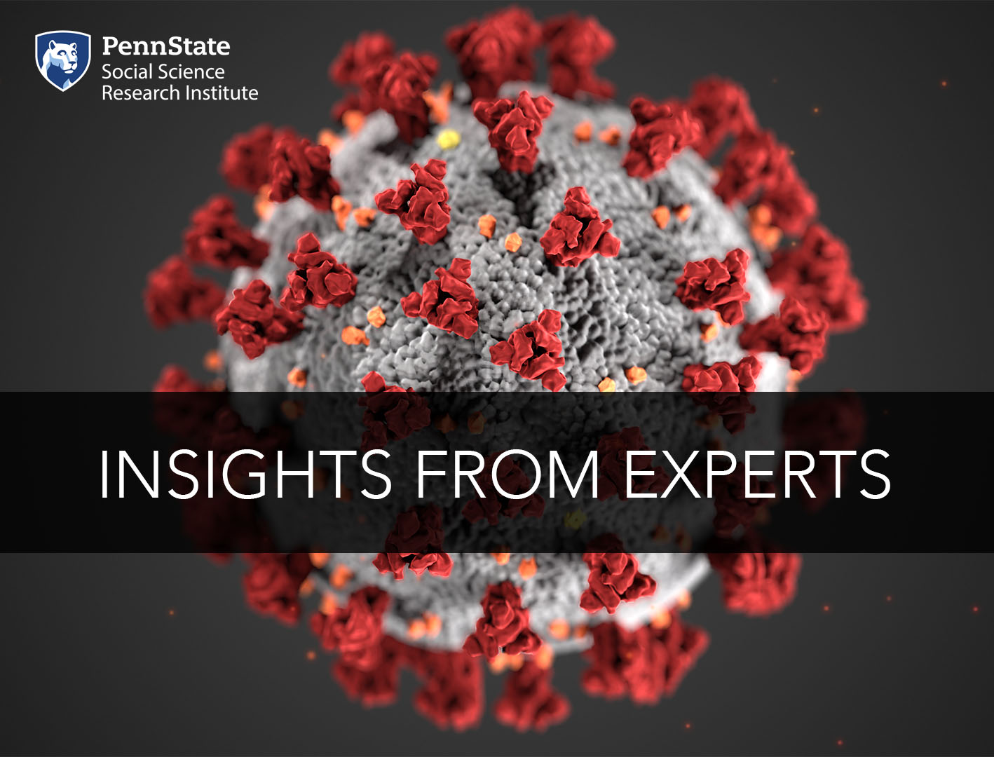 Insights from Experts graphic
