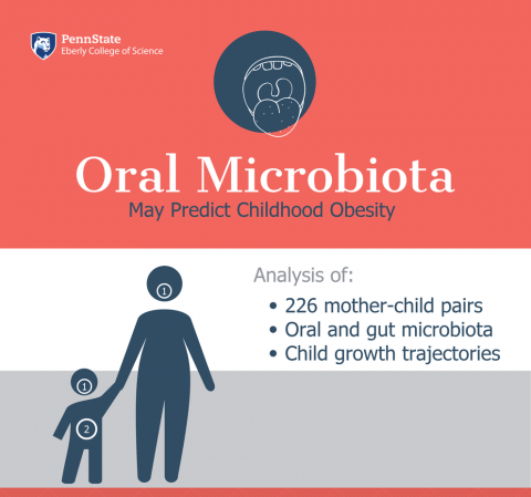 Oral Microbiota may predict childhood obesity. Analysis of 226 mother-child pairs, oral and gut microbiota, and child growth trajectories.