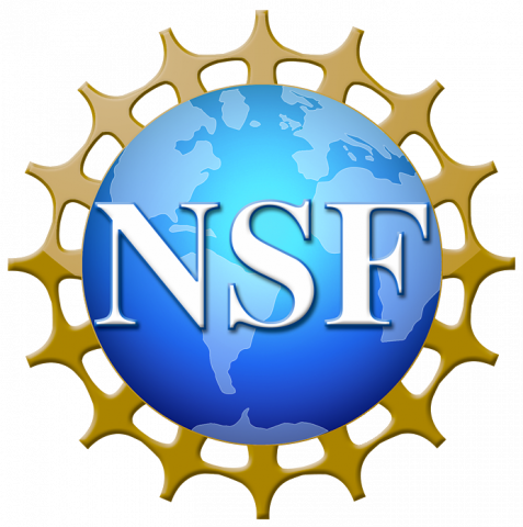 NSF logo.