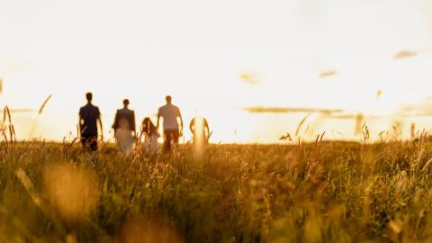 Family walking in field at sunset.