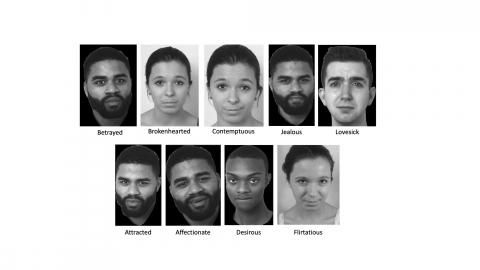 The 480 images in the Complex Emotion Expression Database were posed by eight black and white, formally trained, young adult actors.