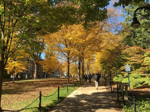 Fall scene on campus.