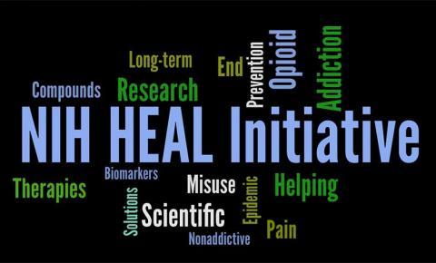Word map with "NIH Heal Initiative" and therapies, compounds, long-term, research, scientific, opioid, addiction, pain, and other words.
