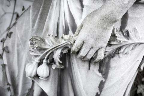 Black and white photo of a statue with a hand holding plants.